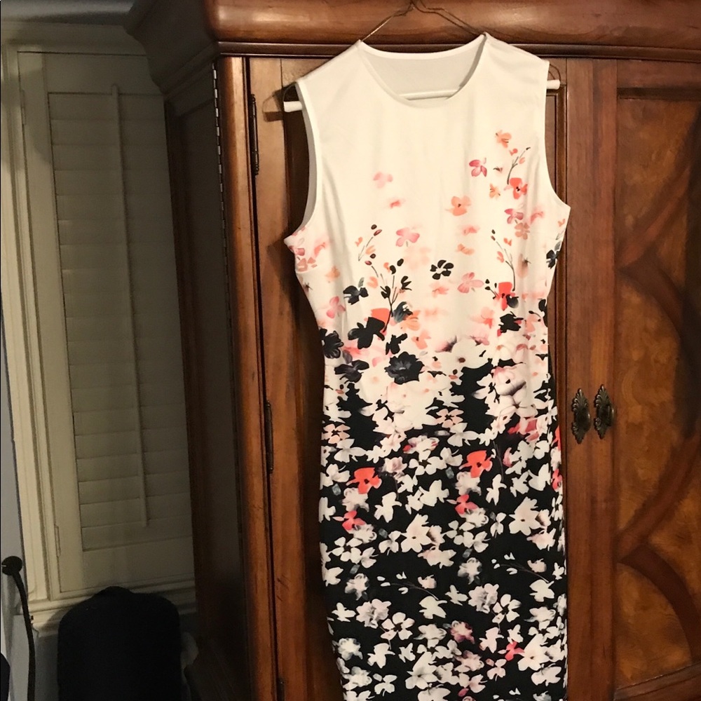 Women’s Sheath Dress